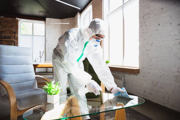 Best Forensic Mold Investigation  in Hico, TX